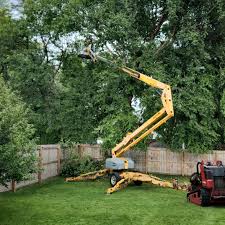 Best Landscape Design and Installation  in Lionville, PA